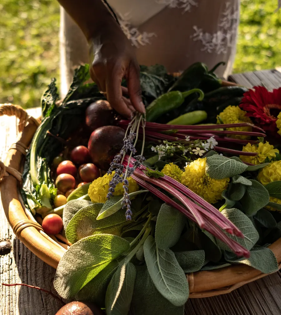 A basket of just-harvested produce: greens, chillies, citrus and roots.