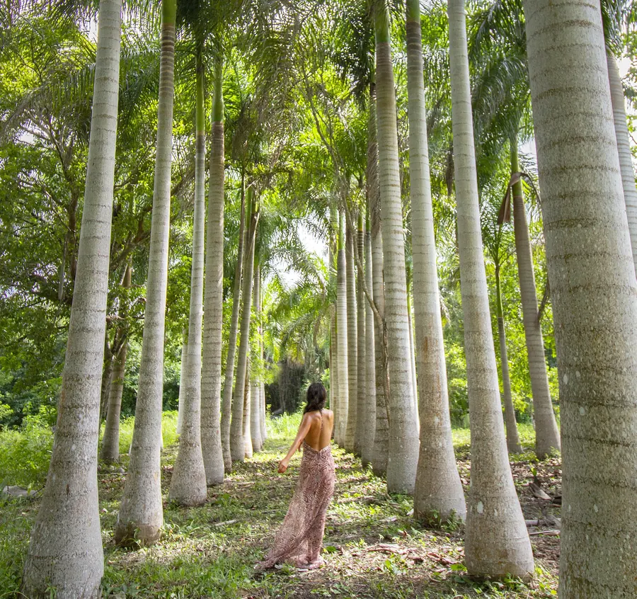 A woman in a linen dress walking an avenue of tall royal palms.